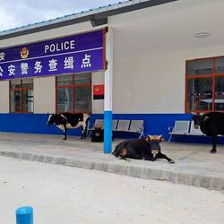 Deutlich mehr Polizeipräsenz