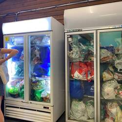 Our hostel fridges in Byron, so typical.
