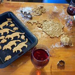 Wine, baking, playing pool, making ramen and ding dong ditching kind of night