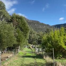 It was huge and had so many animals. Such an incredible place to spend time