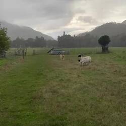 I will forever love this video