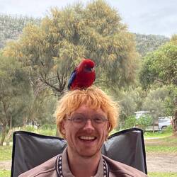 Lunch with the lorikeets