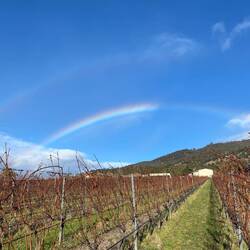 Moments that make up for shitty days