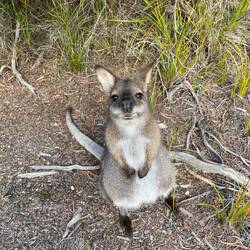 Mate's full on posing