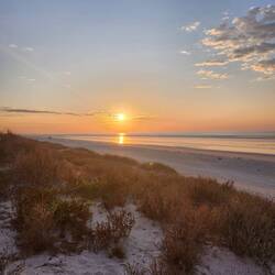 Sunet