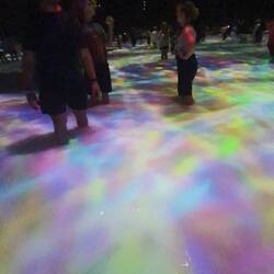 Virtual koi fish were interactive