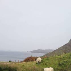 Our parking spot for the night