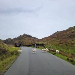 We know who is in charge around here