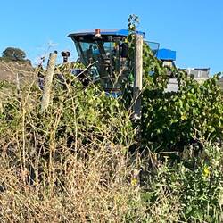 Very cool vineyard tractor!