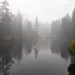 See auf dem Grouse mountain