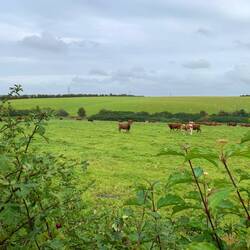On our bike tour in the Cotswolds.