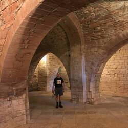 Monasterio de San Juan de la Peña Spanish Pyrenees