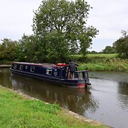 Cruising confidently - but not always