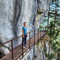 Eine Brücke für Markus