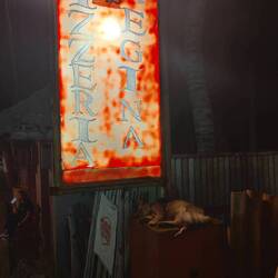 GiliT ist schwer chillig, sogar für Katzen