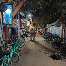 ... und, wo ist die Katze?