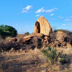 Leopard Rock