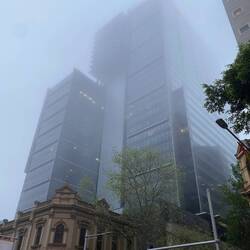 Fog covered Sydney as we left in the morning