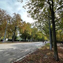 Great trail area of Danube Island