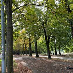 Green space and biking trail on Danube Island