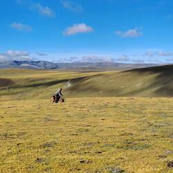 Mal abseits des Verkehrs: Wunderschöne Steppen
