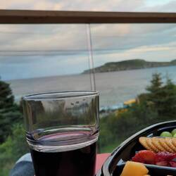 On our last night, a glass of wine, with cheese and fruit, overlooking Seal Cove