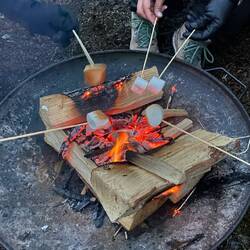 Marshmellows over the fire
