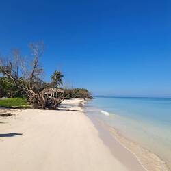 Cayo Jutías! Abenteuer-Traumstrand!