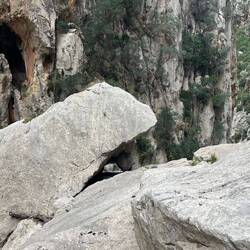 Hier lebt zweifelsohne ein Stein- Monster. Wer erkennt es?