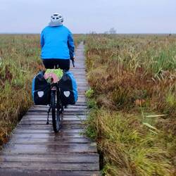 Biebrzański Park Narodowy/Biebrza Nationalpark