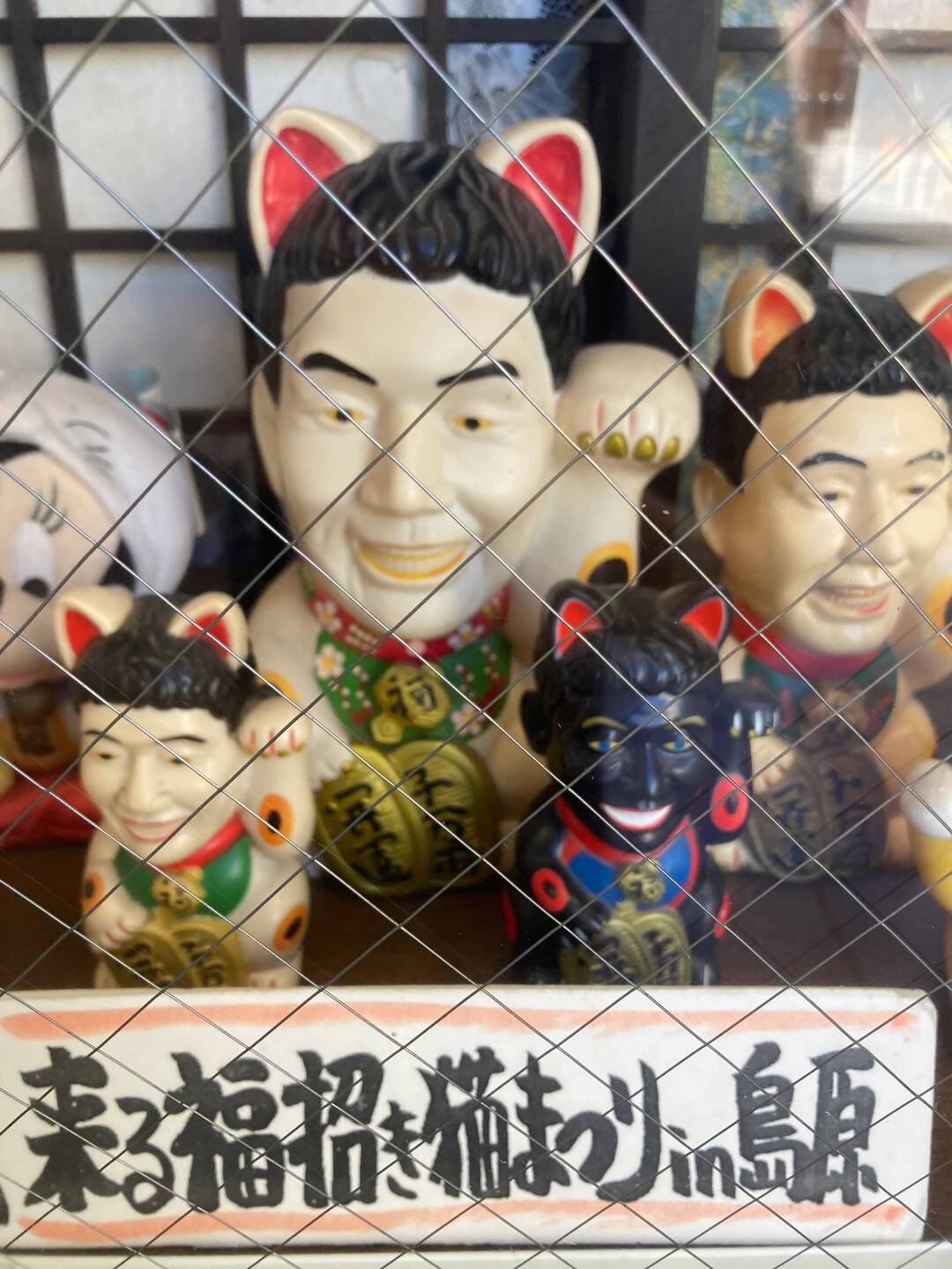 No idea what this is