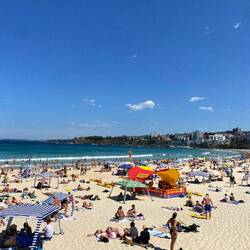Bondi Beach
