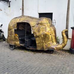 Elephant tuk tuk with glasses.