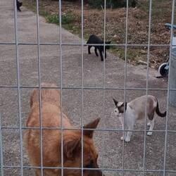 All meine hungerigen Mäuler😪