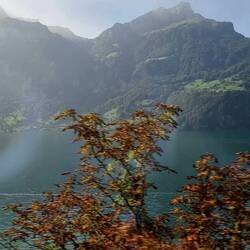 Back in Switzerland😃🇨🇭