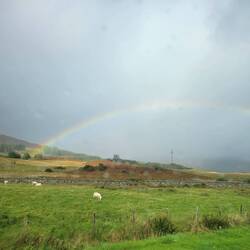 Sheep and rainbows. Two of my favorite sights in Scotland. We've seen a lot of both.