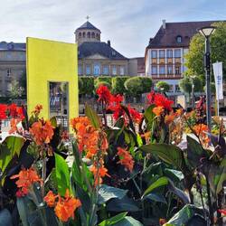 das moderne Bayreuth