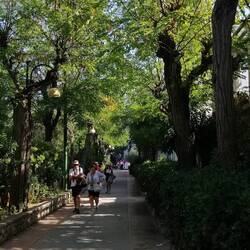 Schattiger Weg in Anacapri