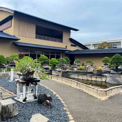Bonsai Museum