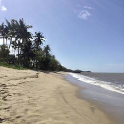 Hope Vanuatu matches this