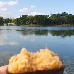 Onigiri Frühstück am See
