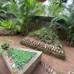Raju Herbal & Spice Garden.