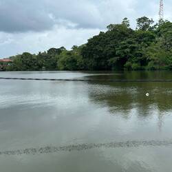 Koggala Lake.