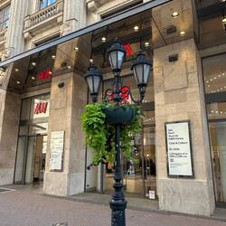 Even the street lights are fancy!