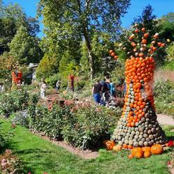 Stilisierte Vulkane, die Kürbisse speien
