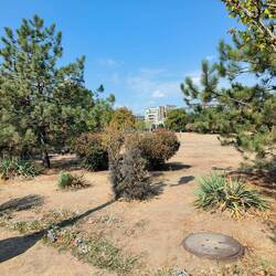 The poor park looks like a desert