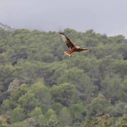 Auch andere suchen sich gerade was zum lunch