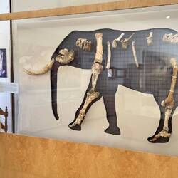 Elefantenmuseum auf Tilos