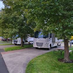 Very nice, but in spite of concrete, we never got the unit level. But I love trees!