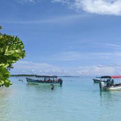 Zapatilla 🏝️